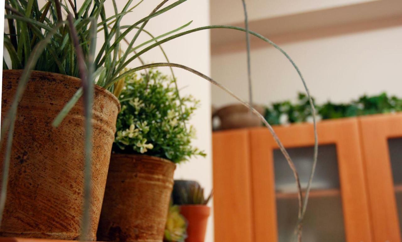 Acropolis, Urban Lifestyle Apartment 아테네 외부 사진